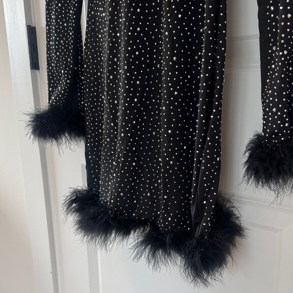 Black Dress with Rhinestones and Feather Trim - Picture 3 of 5